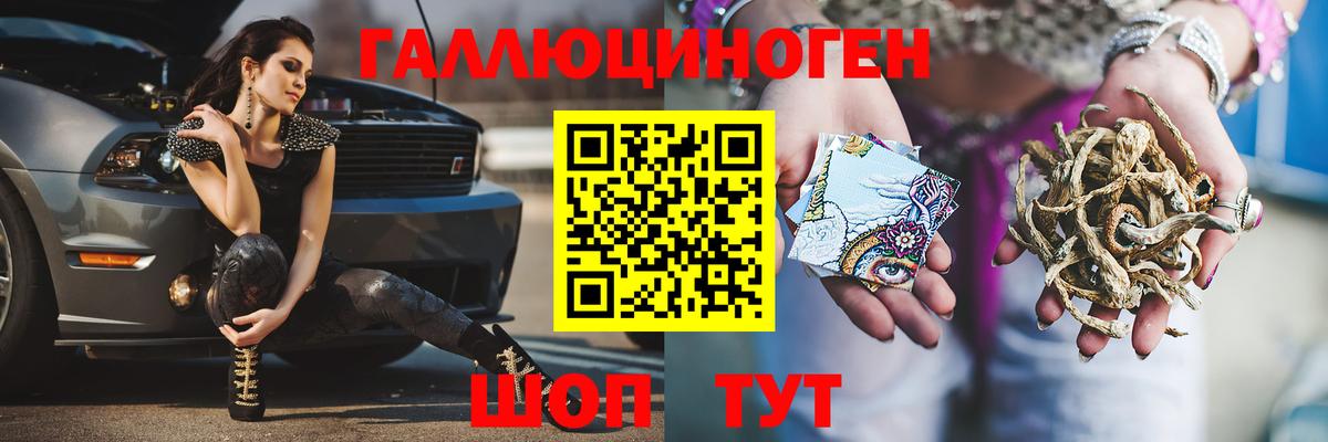 Галлюциногенные грибы Psilocybine cubensis  Вход с VPN  Углич 